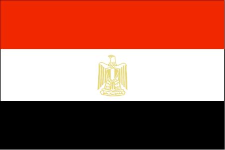 埃及个人旅游签证