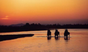 【马尔代夫神仙珊瑚岛5晚7日自助游】西安直飞马尔代夫，六星岛屿，A级潜水，内陆飞机50分钟+快艇20分钟；