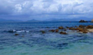 [情迷鼓浪屿，半自由行双飞5日游]