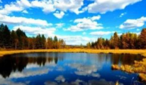 【奢华盛宴】沈阳、张氏帅府、长春、长白山、 镜泊湖、中国虎乡、哈尔滨、呼伦贝尔大草原、大兴安岭漠河