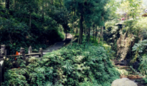 那日成都第六季之成都未完成双动5日游