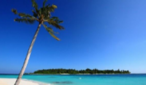 青春不迷茫·厦门毕业季（青年会）双飞5日游