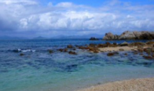 别样厦门（第6季）：厦门鼓浪屿/海边帐篷露营/沙滩BBQ烧烤/沙滩电音泼水节/泉州青山湾/快艇出海体验/海滩拉网捕鱼/海滩赶海/厦门大学 曾厝垵/环岛路/沙坡尾/灵玲动物王国/灵玲国际马戏表演双飞五日体验游